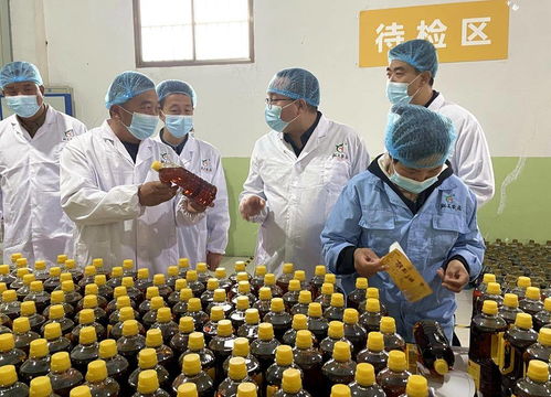 天津市甘肅商會(huì)赴武山縣考察，共探農(nóng)產(chǎn)品與工藝品產(chǎn)銷(xiāo)合作新機(jī)遇